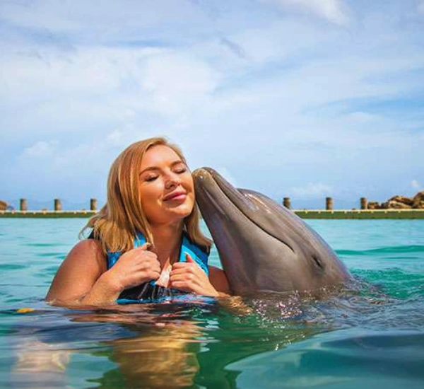 Dolphin Cove - Ocho Rios